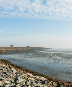 Hotel Bess Albersdorf | Ausflüge an Nordsee oder Ostsee | Öffnet einen internen Link im aktuellen Fenster.