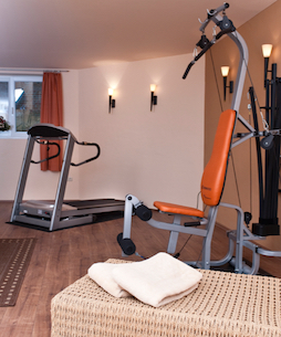 Hotel Bess Albersdorf | Laufband und Kraft-Station im Haupthaus