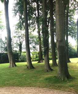 Hotel Bess Albersdorf | Hoteleigener Park Hotel Bess Albersdorf | Hoteleigener Park